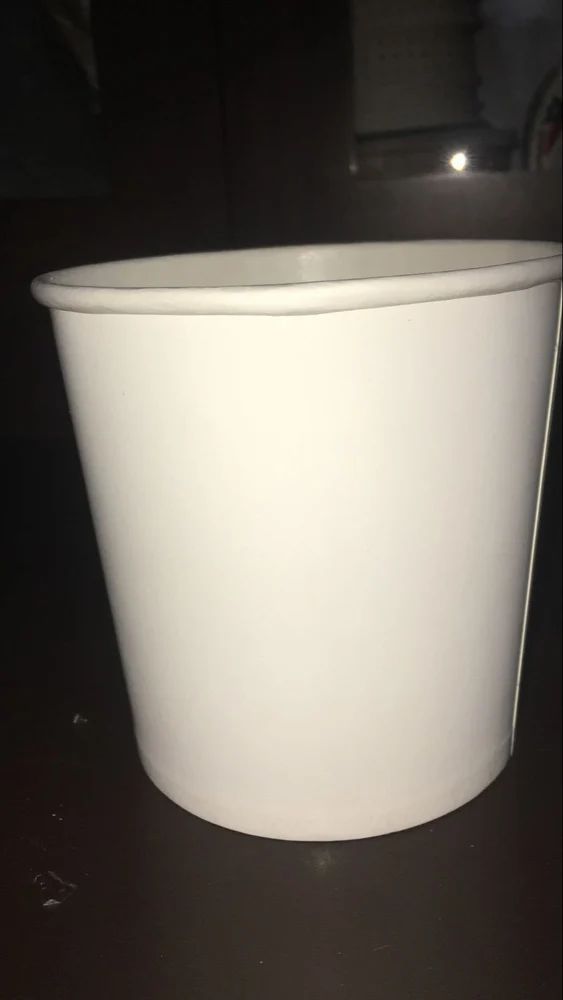Disposable Food Cont