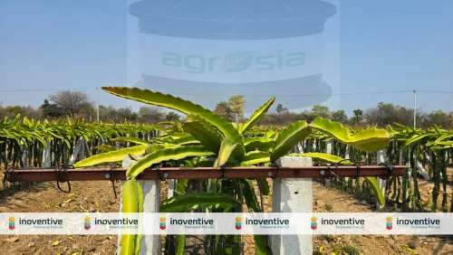 4.0mm Agrosia Pet Wi