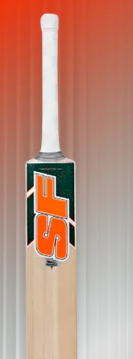 Kashmir willow Bat
