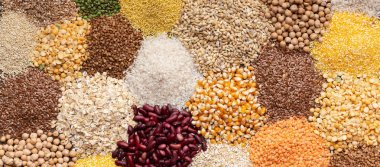 Food Grains