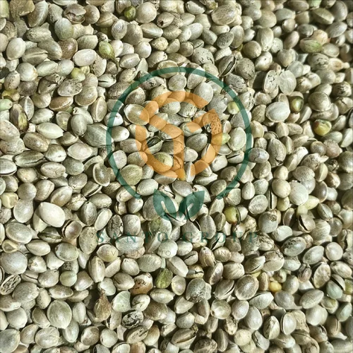 Natural Hemp Seeds