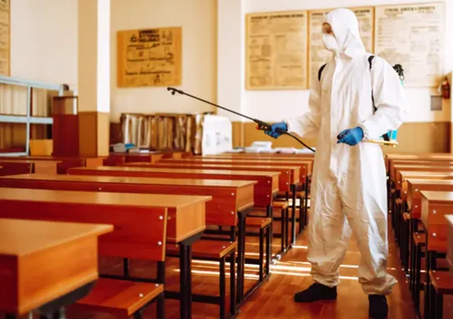 School Pest Control Service
