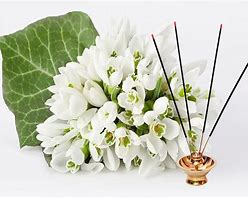 Mogra Flower Agarbat