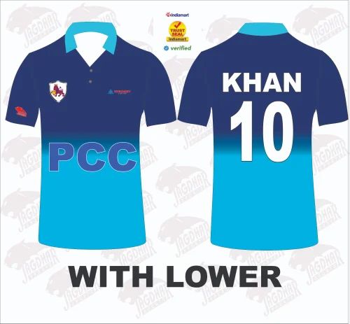Cricket Tournament D