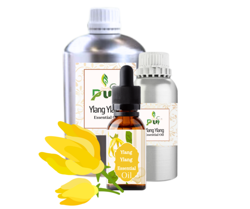 Ylang Ylang Oil