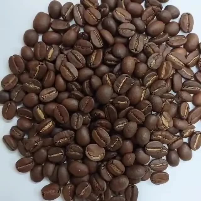 Arabica Coffee Beans