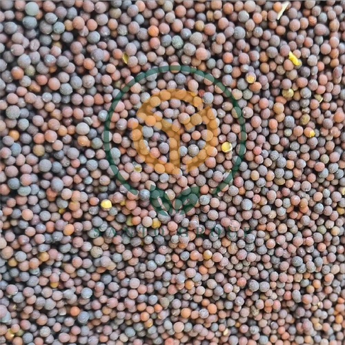 Brown Mustard Seeds