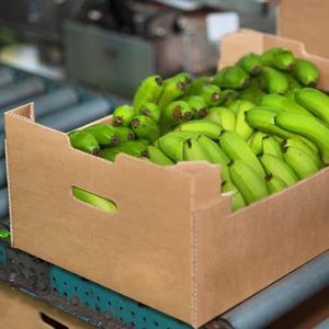 Food & Agro Products Packaging