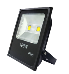 100 Watt Flood Light