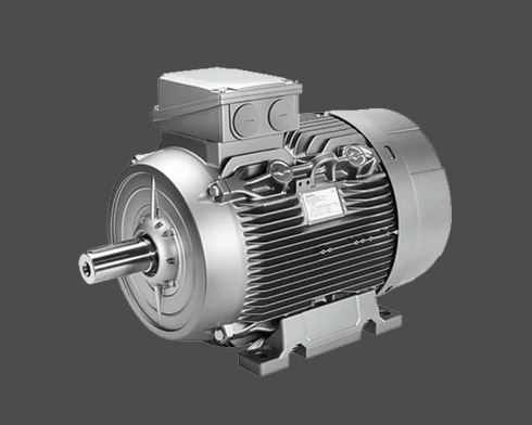 Foot Mount Motor