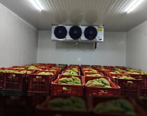 Freezer Cold Rooms