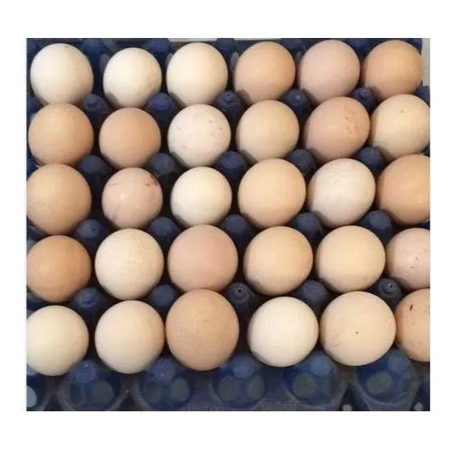 Organic Brown Hatching Eggs