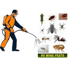 Pest Control Service