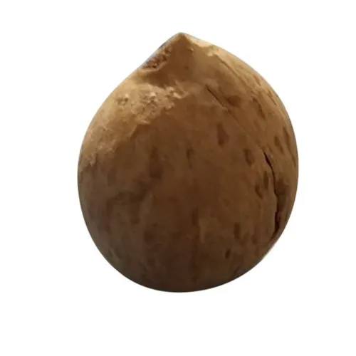Organic Avocado Seed