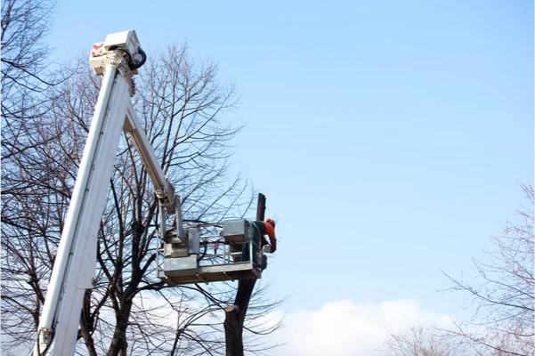 Electric Hoists