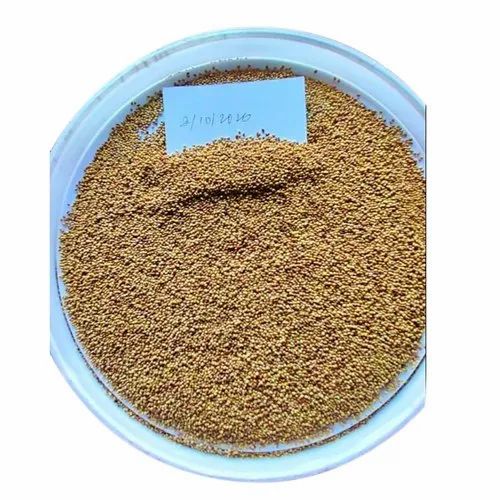 Herbal Berseem Seed