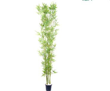 Easy To Clean Bamboo