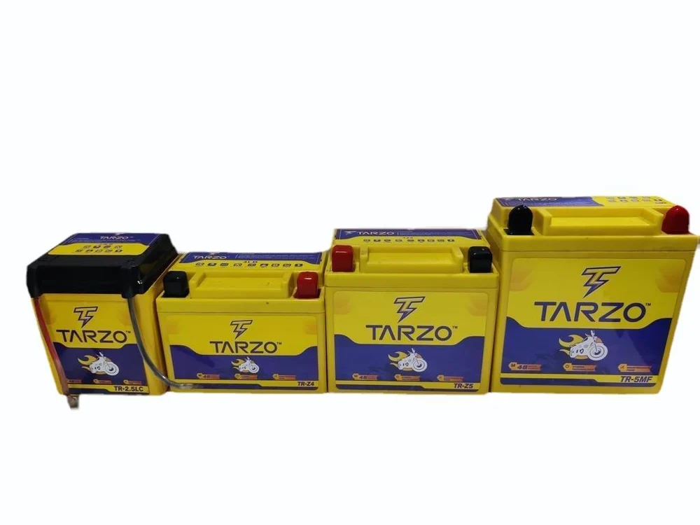 TARZO BIKE BATTERY