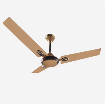 Cinni Kashi 900 mm C