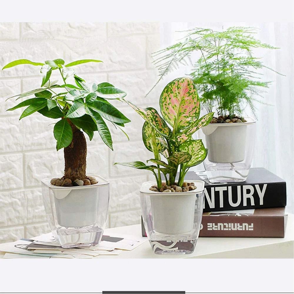 Indoor Self Watering