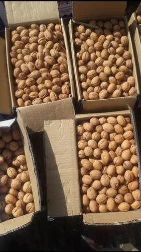 Kashmiri Walnut (Akh