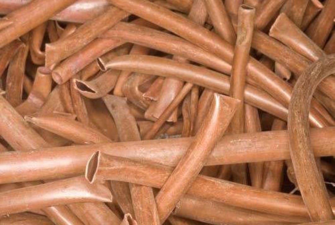 Copper pipe scrap