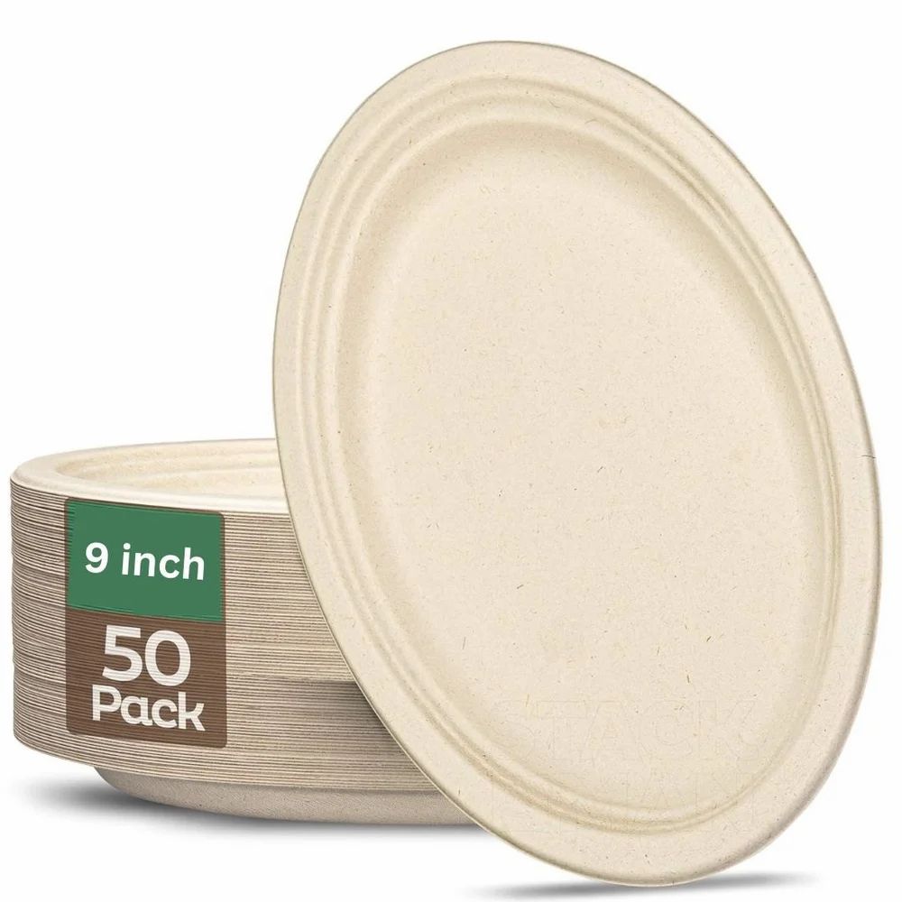 Bagasse Disposable P