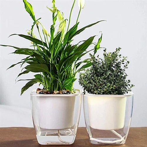 Indoor Self Watering