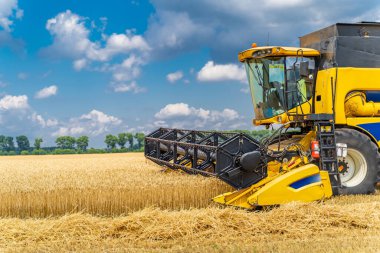 Food & Agriculture Industry