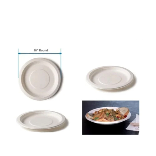 10 Inch Plain Plate 