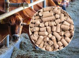 Wheat Bran Cattle Feed