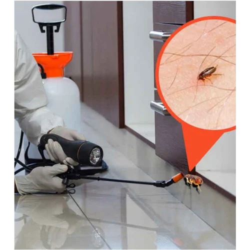Flea Pest Control Services