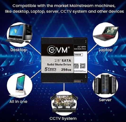 SSD - EVM 256GB SATA SSD