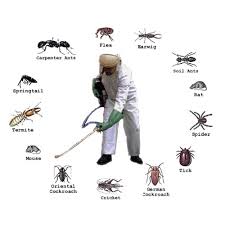 Pest Control Services In Delhi