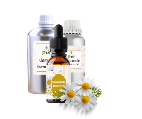 Chamomile Essential 