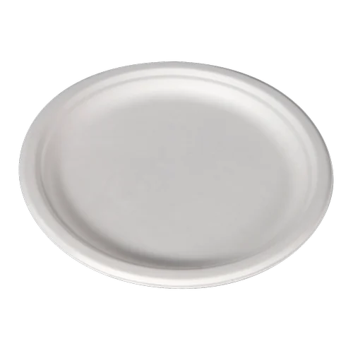 Disposable Plate