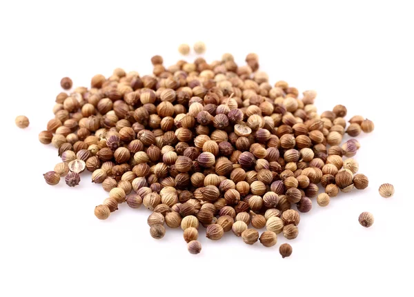 Coriander King 27