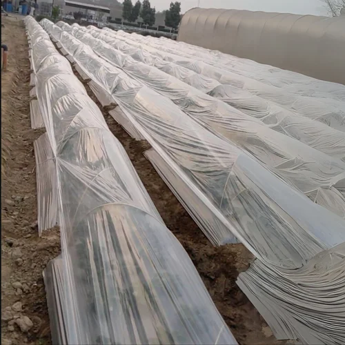 Plastic Low Tunnel F