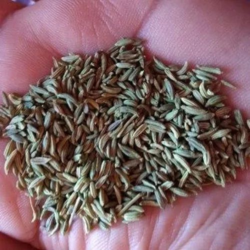 Natural Fennel Seed