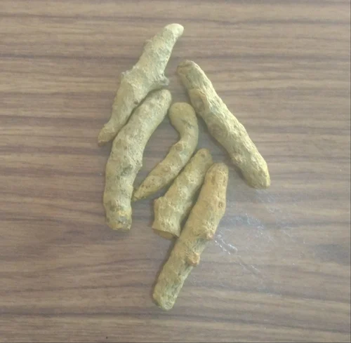 Beige Turmeric Finge