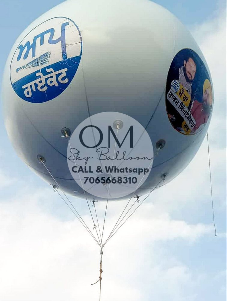 AAM ADMI PARTY ELECT