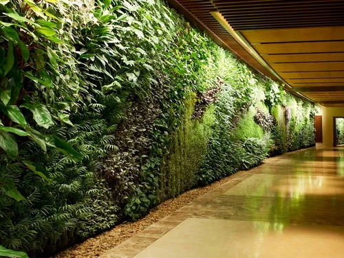 Natural Green Walls