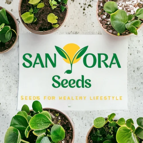 Sanyora Microgreen V