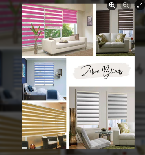 Zebra Window Blinds