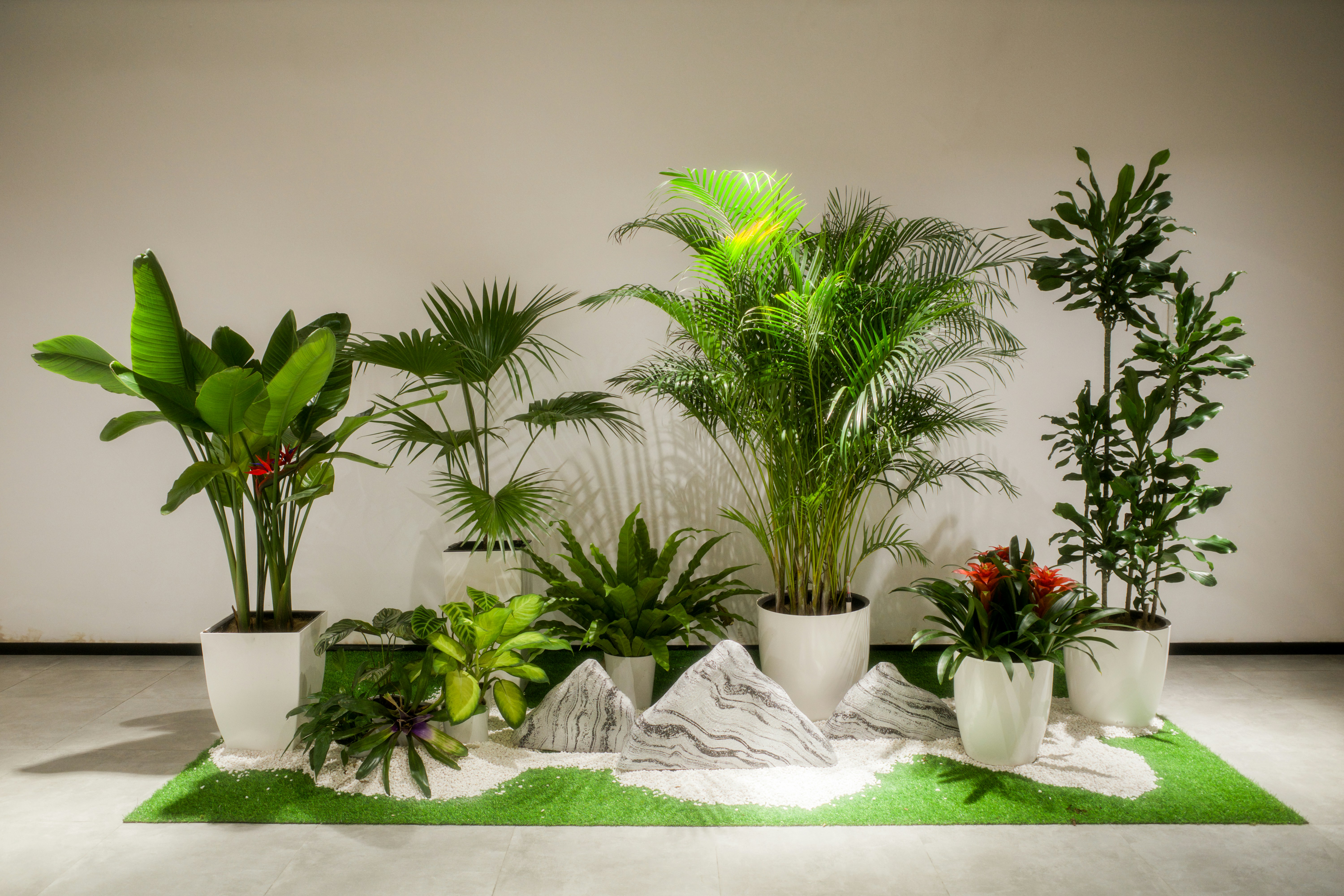 Artificial Plants & Foliage