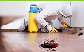 Cockroch Control