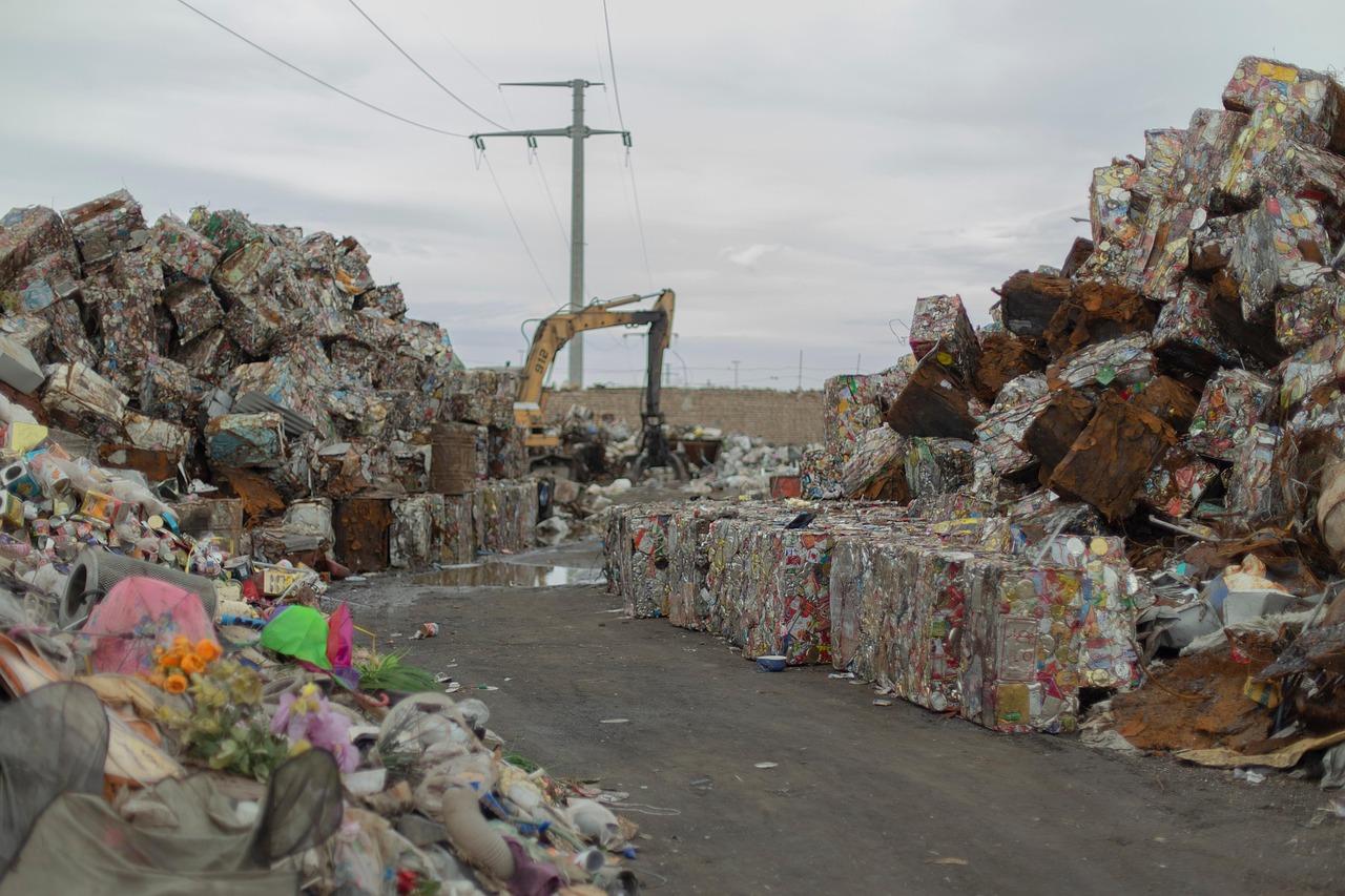 Waste Management & Control Ser..