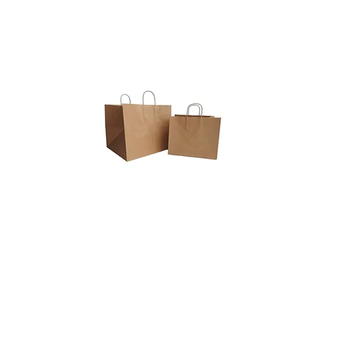 Paper Shopping Bag