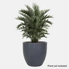 Palm flower pots
