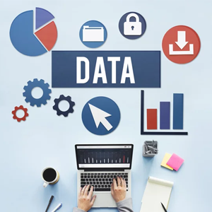 Data Entry & Data Processing S..